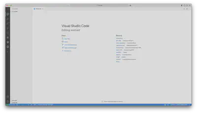 A first look at the VSC editor