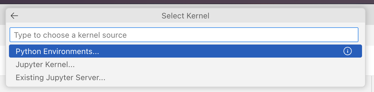 Selecting the notebook kernel