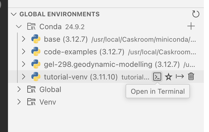 Activating the conda venv in the terminal